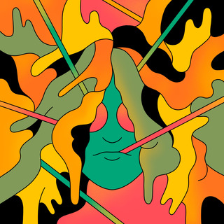 MVSP, Albumcover